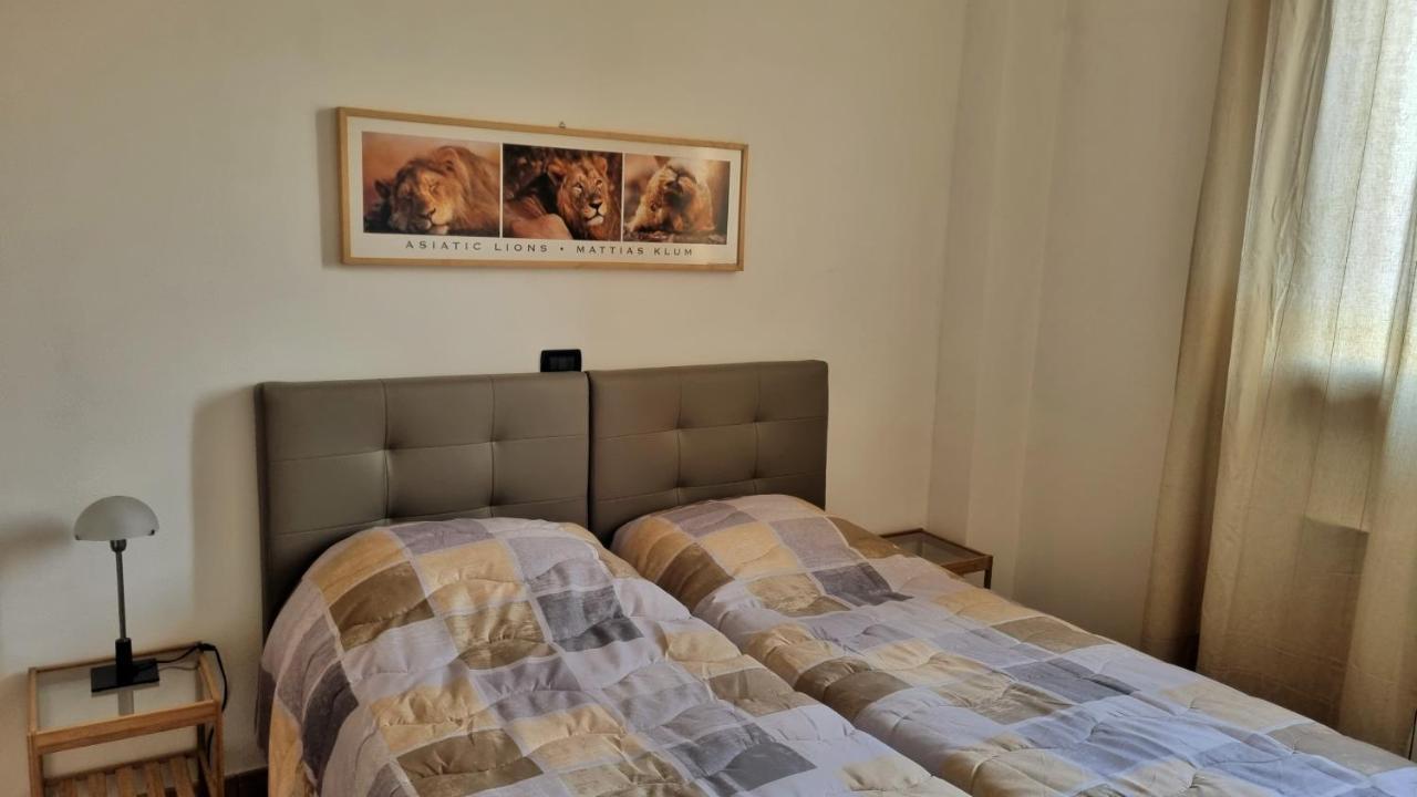 Appartamento spazioso Le Vitterelle B&B Zocca Esterno foto